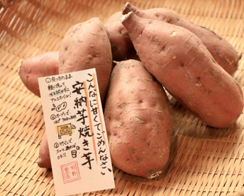 【熟成芋】高糖度プチサイズ安納芋（2㎏）独自の方法で熟成！蜜溢れ出る焼き芋がご家庭で簡単に🍠ひとつひとつ丁寧に紙に包んでお届けでプレゼントにも。【冬ギフト】【お歳暮】熨斗承ります。