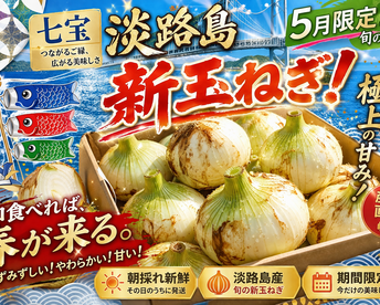 【期間限定！】とろける極上の甘み！新玉ねぎ「七宝」　10kg（サイズ混合）