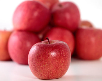 【超特選】王道サンふじ　10㎏　26～40玉　本場青森りんご　農家直送　元気なりんご