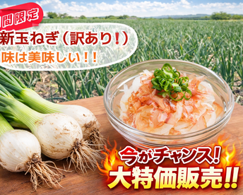 【コスパ重視】淡路島産新玉ねぎ　訳あり品〜毎日の料理の強い味方〜　5kg（サイズ混合）