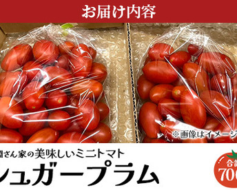 リコピン2倍！高糖度！【シュガープラム】0.7K