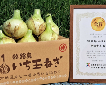 予約受付中!!【祝!3年連続金賞🏆】淡路島新玉ねぎ10kg