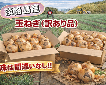 【淡路島産】訳ありだけど味は一級品！（コスパ重視）/５kg