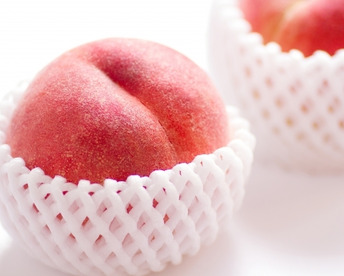 【早期予約価格】🍑【特秀品】さくら白桃　5kg 13～20玉　9月上旬発送　希少な桃　収穫した日に発送　農家直送【朝どれ】