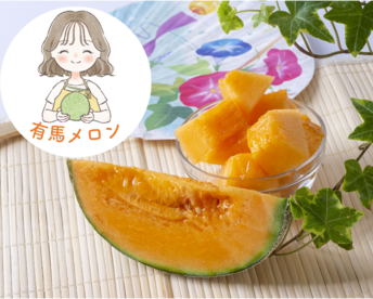 【県知事賞受賞】有馬温泉の麓産 特秀品 赤肉メロン🍈 大玉5L 1玉｜土づくりと甘さにこだわった農薬節約栽培🌱 兵庫県産 レノン《7月中旬頃〜順次発送🚛³₃》お中元・夏ギフトにも🌻