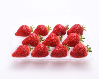 【冬の贈り物】甘味果汁じゅわぁっ！稀少ないちご「あまえくぼ」6〜15玉入り（ゆりかーご輸送）