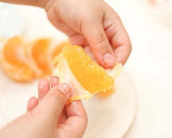 【自然栽培】宮内伊予柑  20㎏（約60-80個）※2026年1月中旬発送開始　イヨカン いよかん 伊予柑