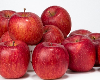 【超特選】　王道サンふじ　5㎏　13～20玉　本場青森りんご　農家直送　元気なりんご