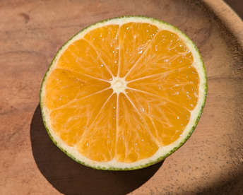 家庭用【自然栽培】　（糖度15度超え）樹上完熟の倉出し 食べやすい甘さ 食べ出したら止まらない 中生みかん（5K）