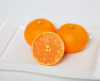 蔵出し極熟せとか 2kg×3箱(6kg)　～眠りから覚めた、とろける甘さ～