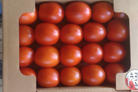 完熟加熱用トマト「アイランドルビー」1箱