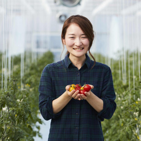 Neighbor's Farm ネイバーズファーム