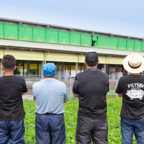ミートセンター菊地畜産 菊地豚牧場