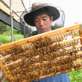 アズマ養蜂場　みつばち農園