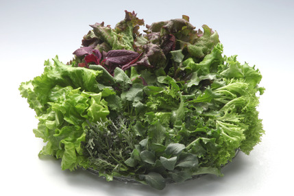 栽培時農薬不使用 富山の植物工場野菜セット5袋入 ベビーリーフミックス1袋付 ５種類のレタスから組み合わせ 富山県産の野菜 食べチョク 産地直送 産直 お取り寄せ通販 農家 漁師から旬の食材を直送