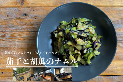 農園直営レストラン監修！「茄子と胡瓜のナムル」