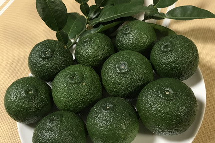 大分 天領日田産 青ゆず1kg 化学肥料不使用 大分県産の野菜 食べチョク 産地直送 産直 お取り寄せ通販 農家 漁師から旬の食材を直送