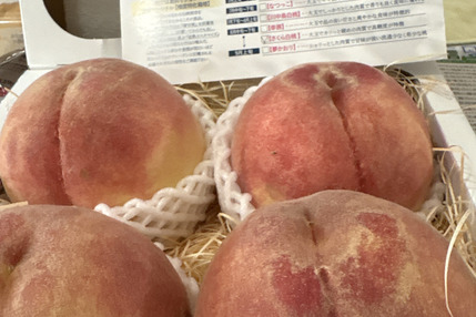 食べチョク｜産地直送(産直)お取り寄せ通販 - 農家・漁師から旬