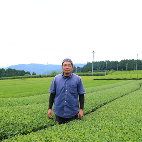 嬉野茶 池田農園