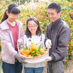 organicfarm なないろ工房