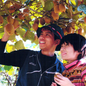 Orchard Yamashita