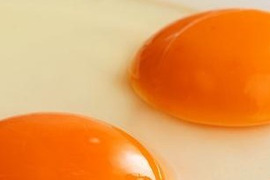 【数量限定】年に一度の縁起物【烏骨鶏の大寒たまご予約受付】