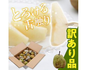 ●訳あり●　山形県産　洋梨　ラ・フランス　2kg (6～12玉)