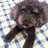 斎藤裕子 さんのサムネイル