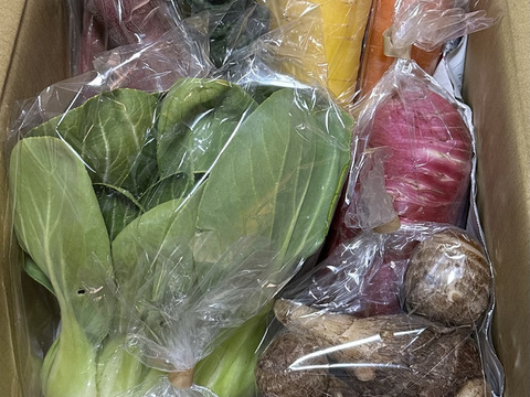 Sサイズ ＊旬野菜セット(約6~7品)【農薬：栽培期間中不使用