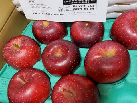 【ふじに飽きたらこれ】 シナノホッペ 3キロ箱 6〜15玉 商品ID44438 長野県 信州 安曇野 リンゴ 幻 幻のリンゴ 予約 希少 旬