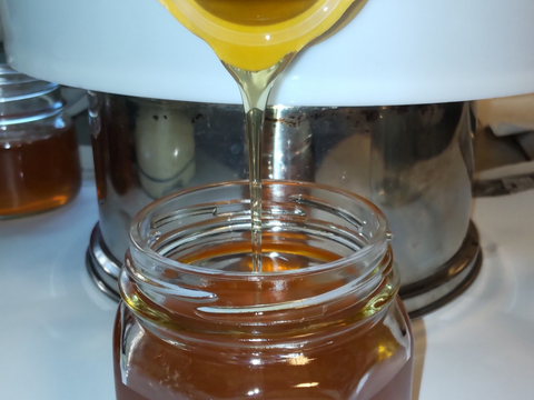 R7.秋の新蜜　西洋蜜蜂のはちみつ
大阪産　キウイ畑の生はちみつ