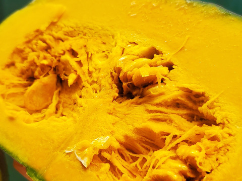 五島列島の元気なかぼちゃ！ あま～いホクホクくり大将 ５kg