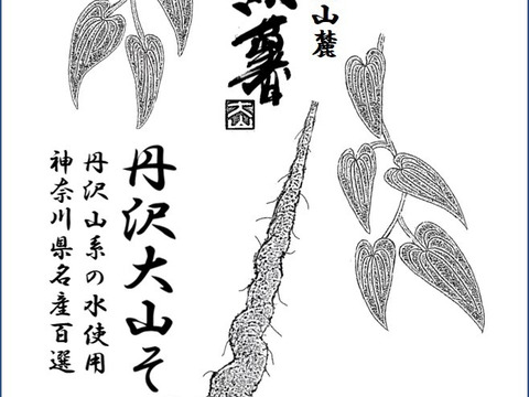 【春ギフト】「丹沢大山そば」と自然薯セット【熨斗付き】全国特産品コンテスト受賞