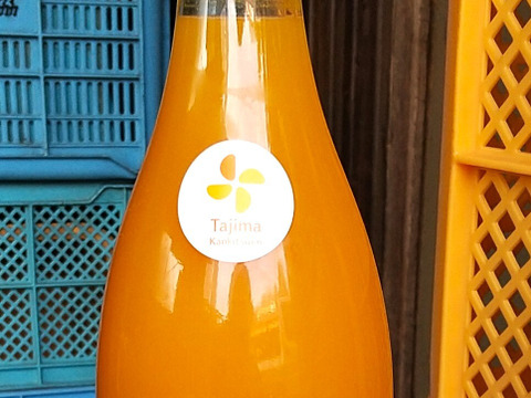 【飲み比べセット】セニョリータ陽子・がんちゃん・爽やかよしこの３本セット