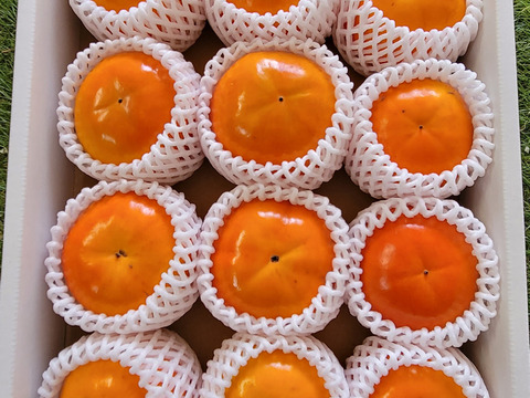 【希少】九度山の富有柿★★★秀品２Ｌ以上の大玉１１～１３個入り(約３kg)【化粧箱入り】【除草剤不使用】【節減対象農薬：当地比４～５割減】
