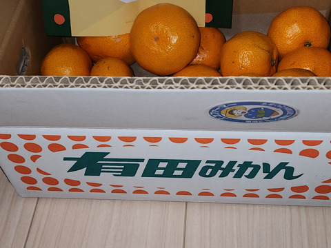 ★濃厚なコクと酸味がおいしい！有田みかん★自家製堆肥栽培★お試し2.5kg★和歌山★