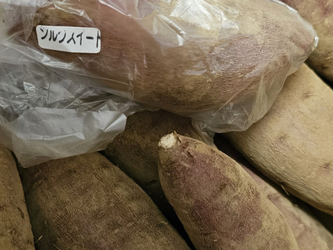 ねっとり系代表❣️千葉県香取市産　S・M
さつまいも極甘！ 【紅はるか】2.8kg