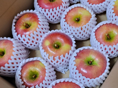 キセキの蜜入りりんご 家庭用・贈答用　こうとく2.5キロ〜3キロ