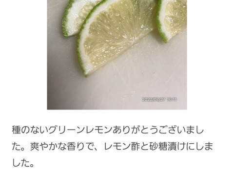 箱込約1㌔×2セット　種なしレモンとマイヤーレモン食べくらべ　（種なしレモン箱込約1㌔　マイヤーレモン箱込約1㌔の食べくらべセット）