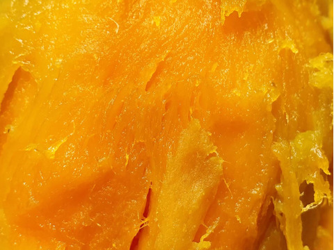 《予約販売》【熟成芋】希少な幻の安納芋🍠濃厚な甘味で蜜溢れ出る焼き芋が簡単に🍯プチサイズ「安納黄金」（4㎏）ひとつひとつ紙に包んで丁寧な包装で贈り物にも喜ばれます🎁熨斗OK【冬ギフト】お歳暮にも