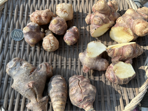 訳あり品【農薬・化学肥料不使用】自然農法で育った紫菊芋　2kg
