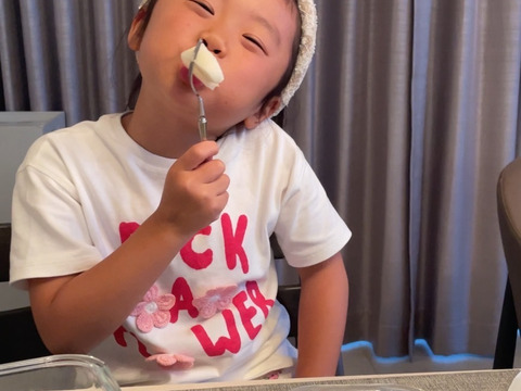 二十世紀梨　優品　10キロ