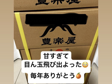 ※早割　予約　12月以降発送【最高級】真穴（まあな）産地直送　極上みかん　S〜Lサイズ　10kg 贈答