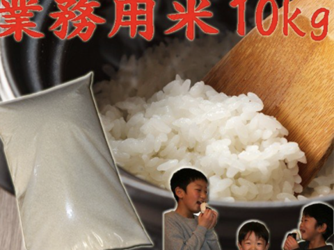 業務用米 白米 10kg 令和二年産