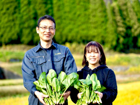 おまかせ。魂のほうれん草 1kg（7袋）