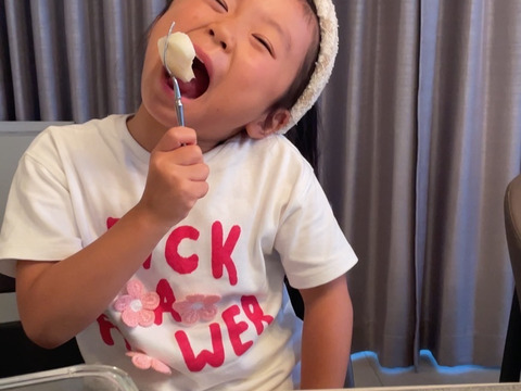 なつひめ梨　3キロ