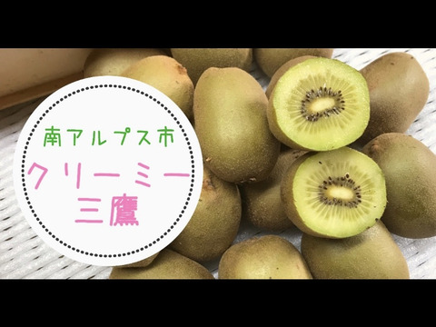 国産の季節です。食べ比べ農家直送キウイフルーツゴールデン4種
【2kg】