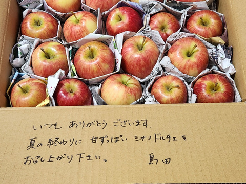 シナノドルチェ　ミニ小玉ちゃん　SSサイズ約１7玉（約2.5㎏）
長野県オリジナル　面長で重量感たっぷり
甘酸っぱさと歯ごたえが楽しめます
かわいいミニ小玉りんごをバラ詰めでお届け！丸かじりでどうぞ