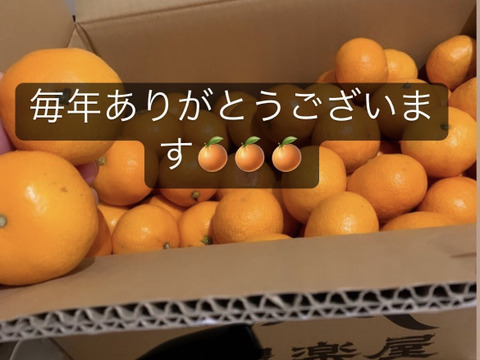 ※早割　予約　12月以降発送【最高級】真穴（まあな）産地直送　極上みかん　S〜Lサイズ　10kg 贈答