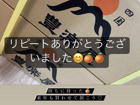 ※予約割引※【最高級】真穴（まあな）産地直送　極上みかん　S〜Lサイズ　10kg 贈答